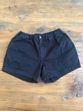 Chubbies Shorts 4”